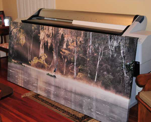 40x90 Canvas Gicl&eacute;e by Melody Hendrix
